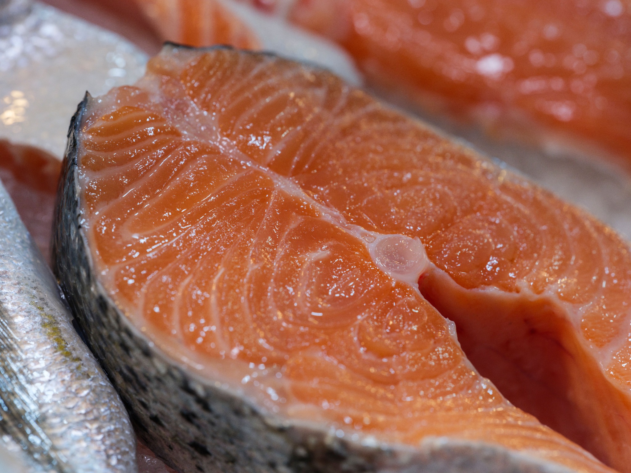 Fresh salmon pieces ready for cooking